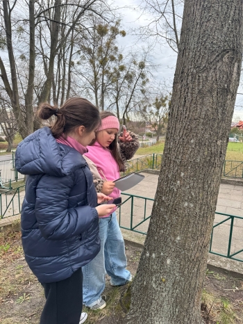 Zdjęcie WhatsApp 2025-04-29 o 20.14.46_6ab725ee