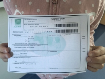 Zdjęcie WhatsApp 2025-05-06 o 08.53.46_a7690cae
