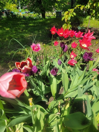 Zdjęcie WhatsApp 2025-05-23 o 13.18.27_e5ef50f4