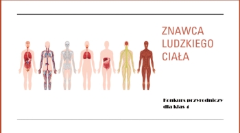 Zdjęcie WhatsApp 2025-06-17 o 19.01.49_5ba3691d