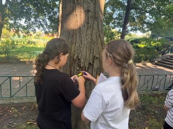 Zdjęcie WhatsApp 2025-09-14 o 20.33.25_701a3ce1