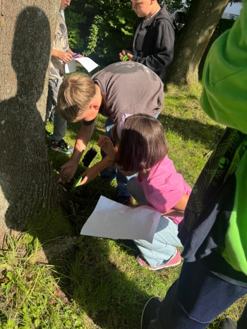 Zdjęcie WhatsApp 2025-09-14 o 20.33.25_f29315d0