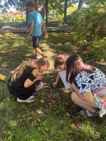 Zdjęcie WhatsApp 2025-09-14 o 20.33.26_377a246f