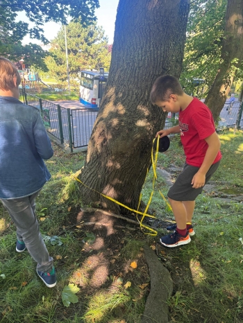 Zdjęcie WhatsApp 2025-09-14 o 20.33.26_7907ac56