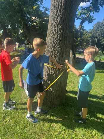 Zdjęcie WhatsApp 2025-09-14 o 20.33.26_b4c64d82