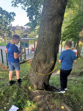 Zdjęcie WhatsApp 2025-09-14 o 20.33.26_d7520dfe