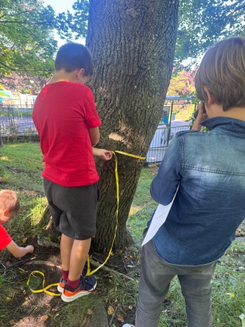 Zdjęcie WhatsApp 2025-09-14 o 20.33.26_f27227cd