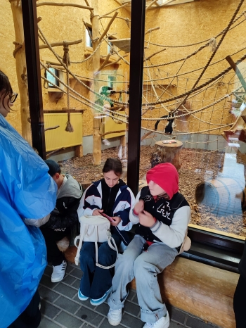 Zdjęcie WhatsApp 2025-09-23 o 09.14.38_69d61304