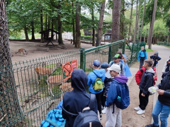 Zdjęcie WhatsApp 2025-09-23 o 09.14.38_7eb5c70f