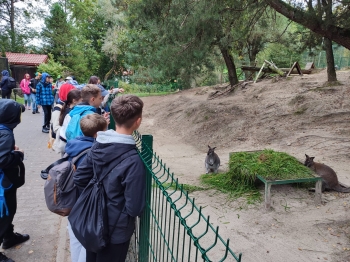 Zdjęcie WhatsApp 2025-09-23 o 09.14.38_be39def6