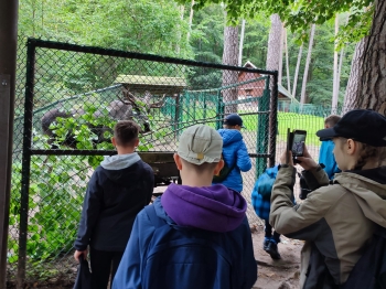 Zdjęcie WhatsApp 2025-09-23 o 09.14.38_c1bdeb30