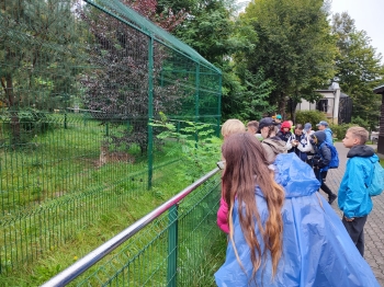 Zdjęcie WhatsApp 2025-09-23 o 09.14.39_5e8d240c