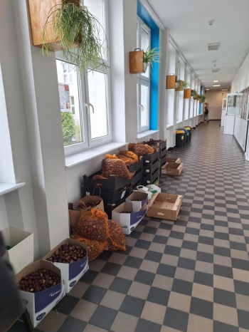 Zdjęcie WhatsApp 2025-10-16 o 18.13.41_9761f6a0