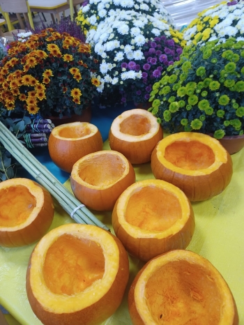 Zdjęcie WhatsApp 2025-10-23 o 14.47.20_0186e16f