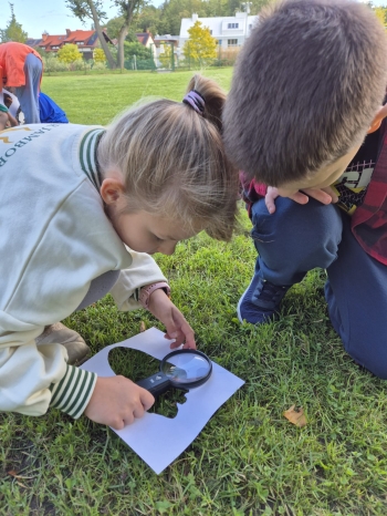 Zdjęcie WhatsApp 2025-11-04 o 12.23.35_994bf17d