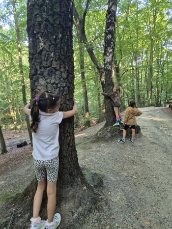 Zdjęcie WhatsApp 2025-11-04 o 12.23.35_91832101