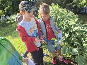 Zdjęcie WhatsApp 2025-11-04 o 12.23.36_08d2ccc1