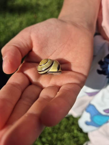 Zdjęcie WhatsApp 2025-11-04 o 12.23.36_2439d18f