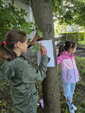 Zdjęcie WhatsApp 2025-11-04 o 12.23.36_62da051f