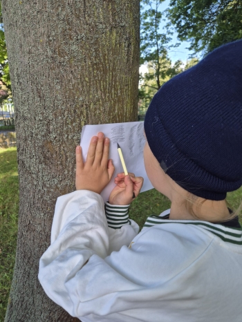 Zdjęcie WhatsApp 2025-11-04 o 12.23.36_fdfda22c