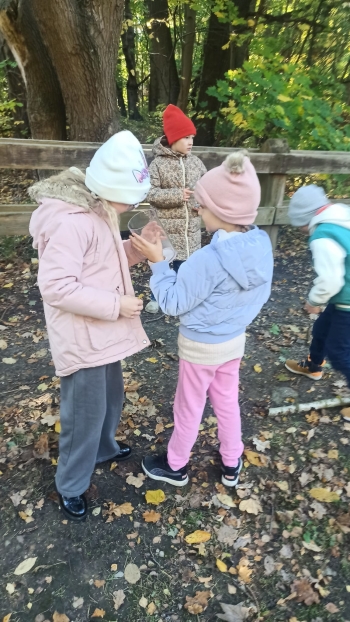 Zdjęcie WhatsApp 2025-11-04 o 12.23.37_009c2ac2