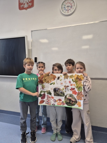 Zdjęcie WhatsApp 2025-11-04 o 12.23.37_09b4d7cb