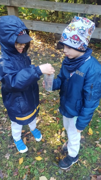 Zdjęcie WhatsApp 2025-11-04 o 12.23.37_e01bffa6