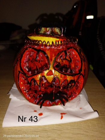 Zdjęcie WhatsApp 2025-11-04 o 22.55.22_2c3cce1e