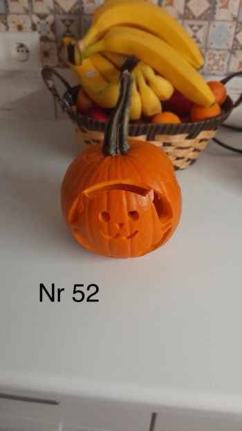 Zdjęcie WhatsApp 2025-11-04 o 22.55.22_c31a79ba