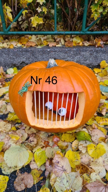 Zdjęcie WhatsApp 2025-11-04 o 22.55.23_57065953