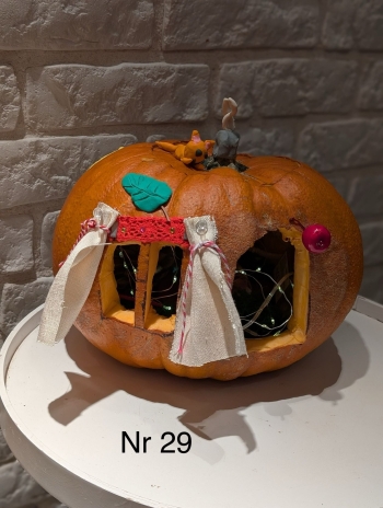 Zdjęcie WhatsApp 2025-11-04 o 22.55.24_4680a282