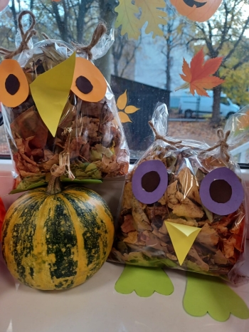 Zdjęcie WhatsApp 2025-11-04 o 11.03.03_4efb808a