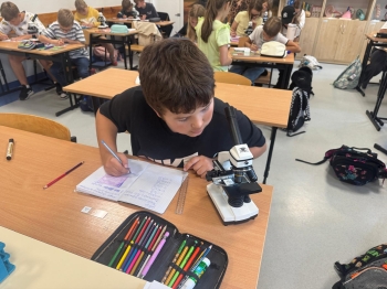 Zdjęcie WhatsApp 2025-09-20 o 20.32.23_88f77052