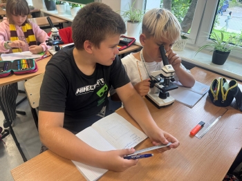 Zdjęcie WhatsApp 2025-09-20 o 20.32.23_bd2329ad