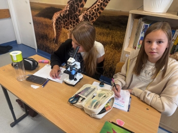 Zdjęcie WhatsApp 2025-09-20 o 20.32.24_5c170a41