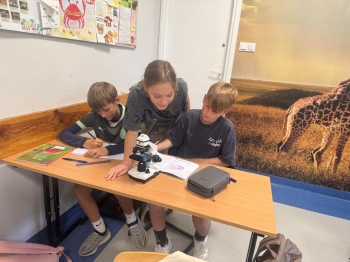 Zdjęcie WhatsApp 2025-09-20 o 20.32.24_39d46e38