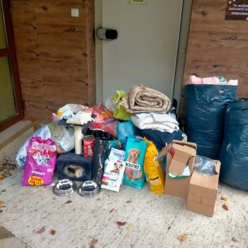 Zdjęcie WhatsApp 2025-11-18 o 19.57.30_cca1b06e