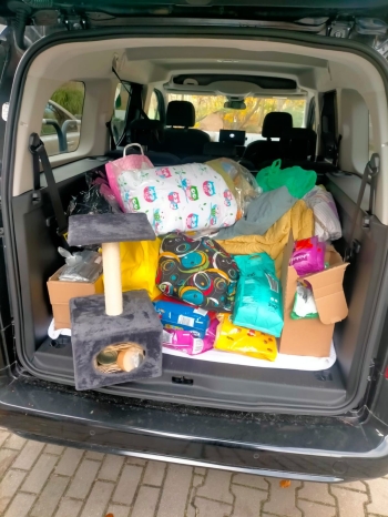 Zdjęcie WhatsApp 2025-11-18 o 19.57.30_d56c6ad4