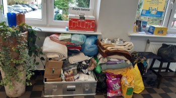 Zdjęcie WhatsApp 2025-11-18 o 19.57.30_e8995281