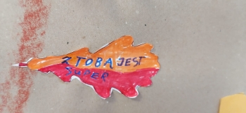 Zdjęcie WhatsApp 2025-11-21 o 19.27.49_a5d06e9d