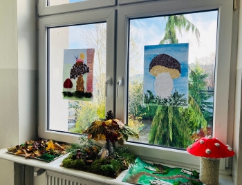 Zdjęcie WhatsApp 2025-11-13 o 18.56.10_61f7c9f2