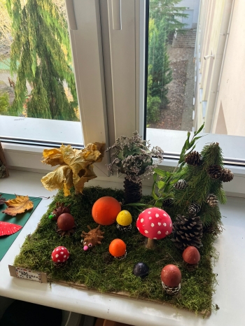 Zdjęcie WhatsApp 2025-11-13 o 18.56.12_ce334ea6