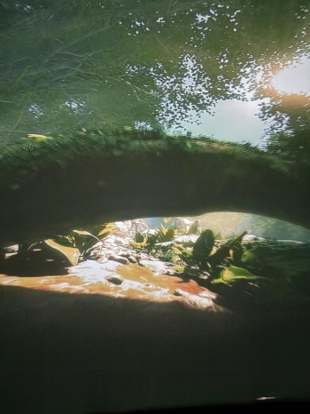 Zdjęcie WhatsApp 2025-12-05 o 22.02.47_3d12636b