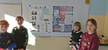 WhatsApp Image 2026-02-04 at 15.30.09.jpeg