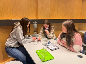 WhatsApp Image 2026-02-20 at 12.32.44b.jpeg