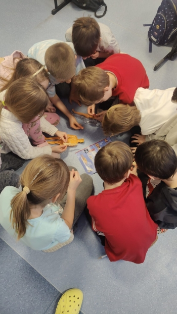 WhatsApp Image 2026-02-27 at 08.37.11d.jpeg