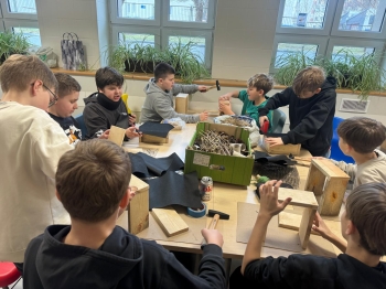 WhatsApp Image 2026-03-03 at 16.01.20a.jpeg