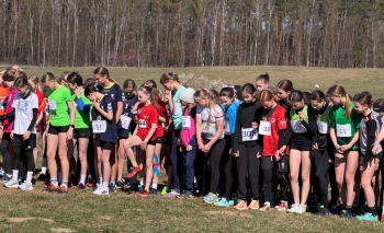 WhatsApp Image 2026-04-22 at 09.21.30a.jpeg