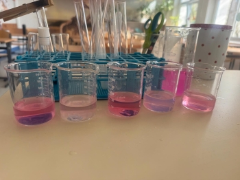 WhatsApp Image 2026-04-24 at 22.21.56c.jpeg