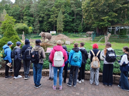 Klasa VIa odwiedziła ZOO w Oliwie!